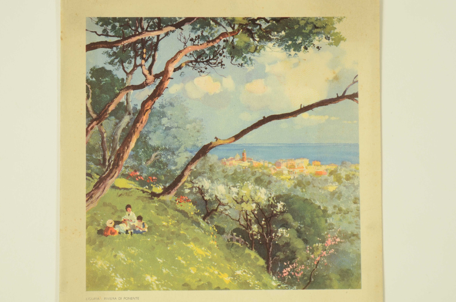 SS REX/R668-Schedule Activities