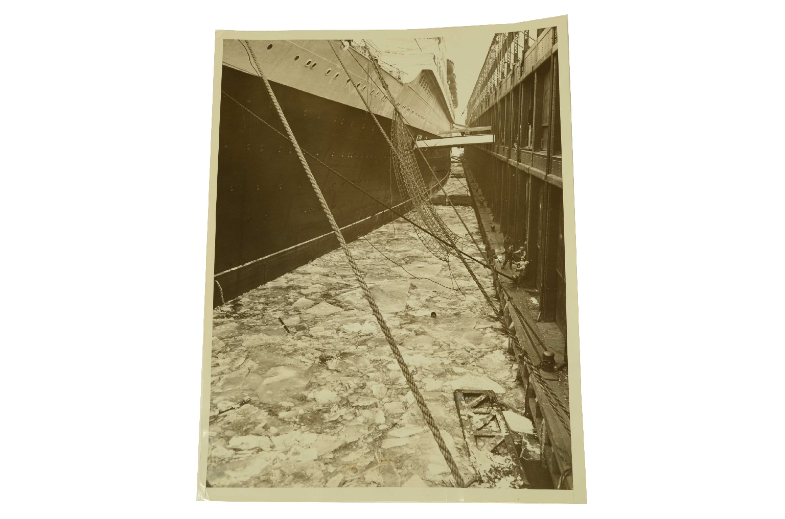 SS REX/R977-REX Photo