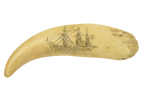 Scrimshaw