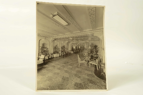 Foto Giardino Inverno