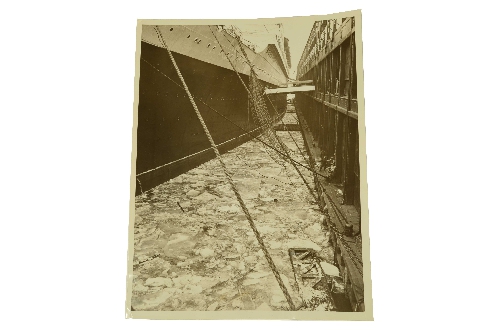 REX Photo